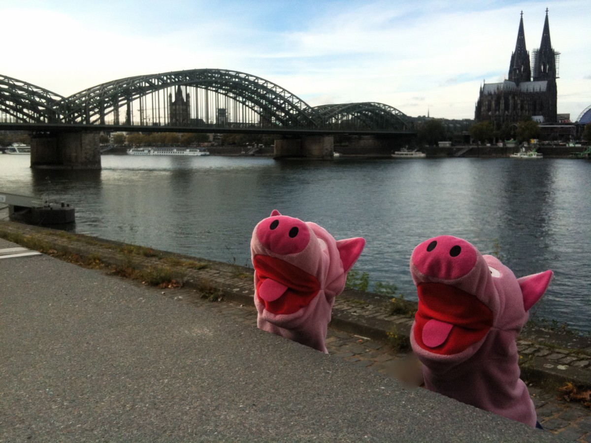 Die Schweine geben das bekannte Volkslied "Warum ist es mit Schwein so schön?"