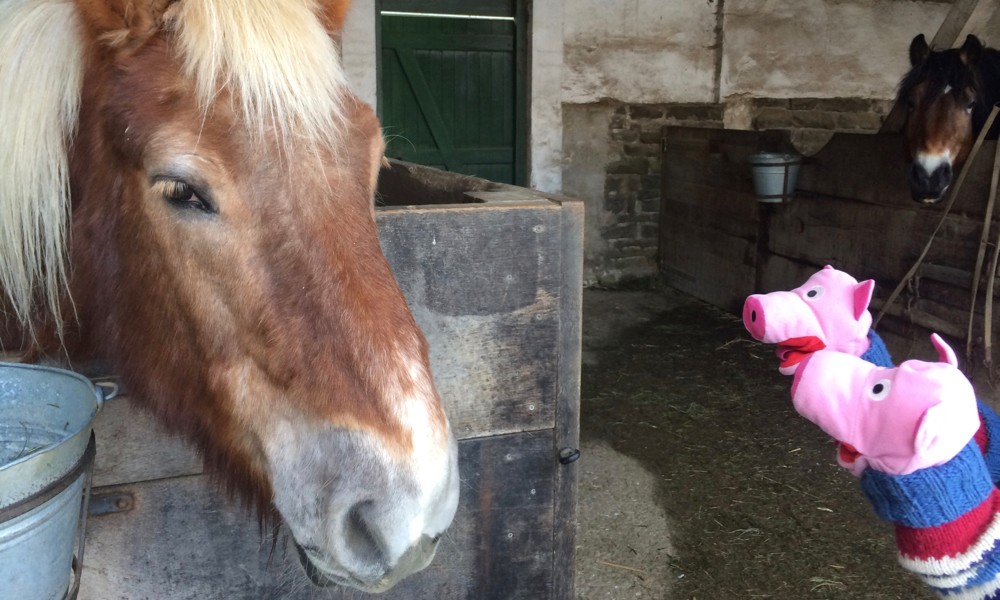 Die Schweine treffen auf Martha, die hatte keine Lust zum Schlitten fahren.