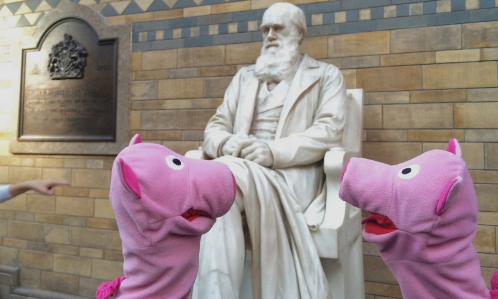 Der Mann hat keine Haare auf dem Kopf, aber viele im Gesicht. 