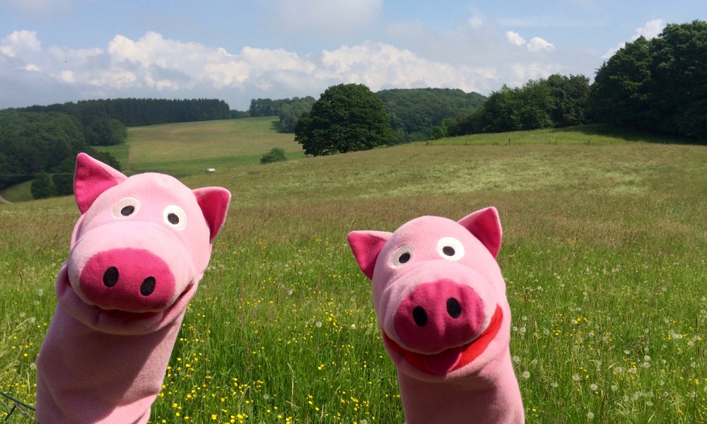 Die Aussicht ist schon mal phänomenal!