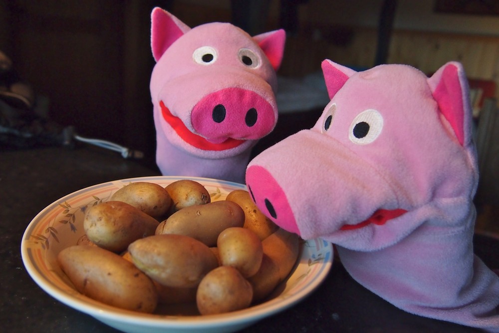 Frühstück! Gut gestärkt geht es wieder an die frische Luft.
