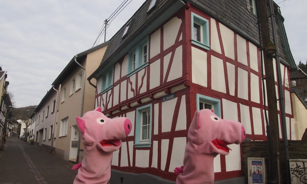 Die Schweine wandern durch Unkel...