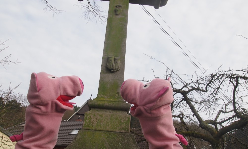 Die Schweine hätten gerne selber welche!