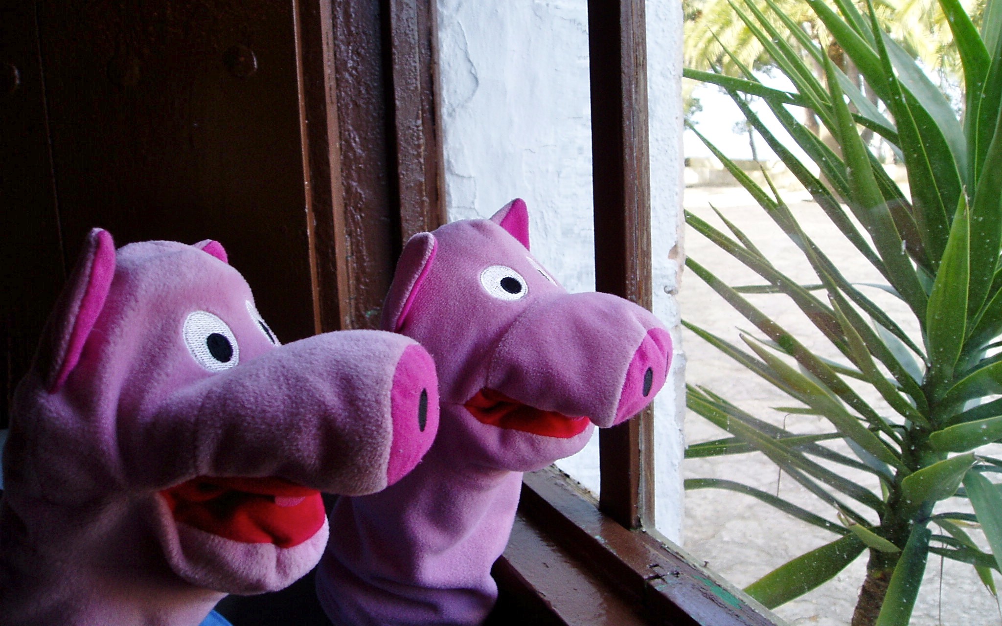 Draußen scheint schon die Sonne