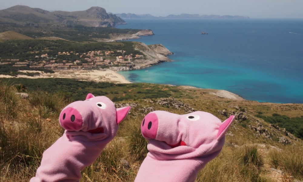 Das ist durchaus möglich, denn die Schweine können eine erhöhte UV-Strahlung bestätigen.