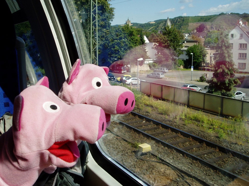 Am Rhein entlang geht es mit dem Zug zur Bundesgartenschau.