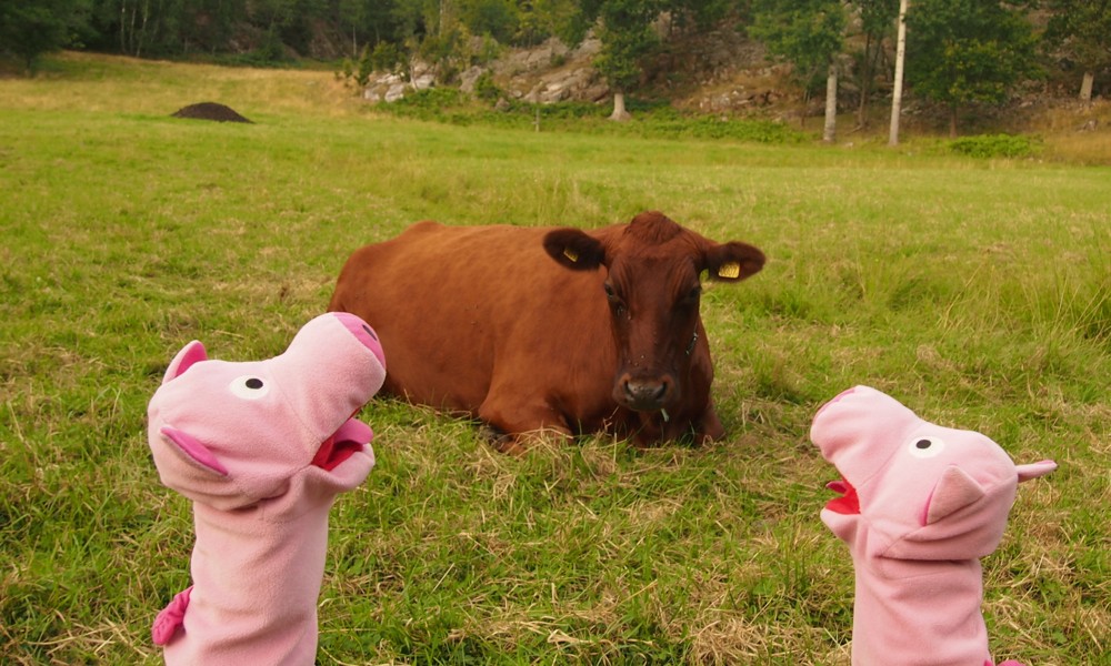 Ulle ist ein Student aus Uppsala und macht hier Urlaub.
