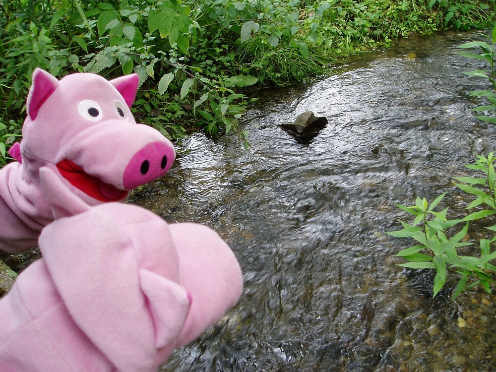 Wieder am Grenzbach - für ein Bad ist es aber doch zu frisch!