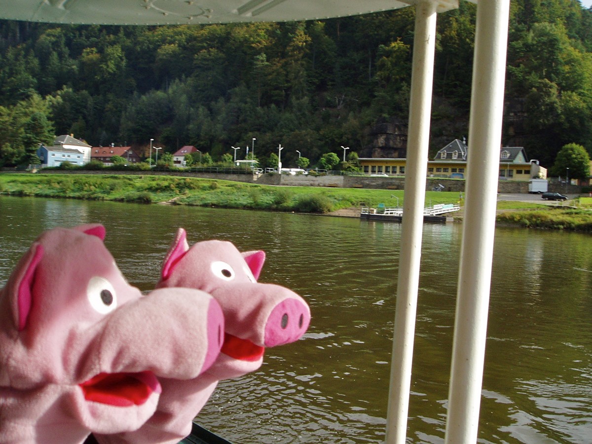 In Sachsen fuhren die Schweine mit dem Schiff...