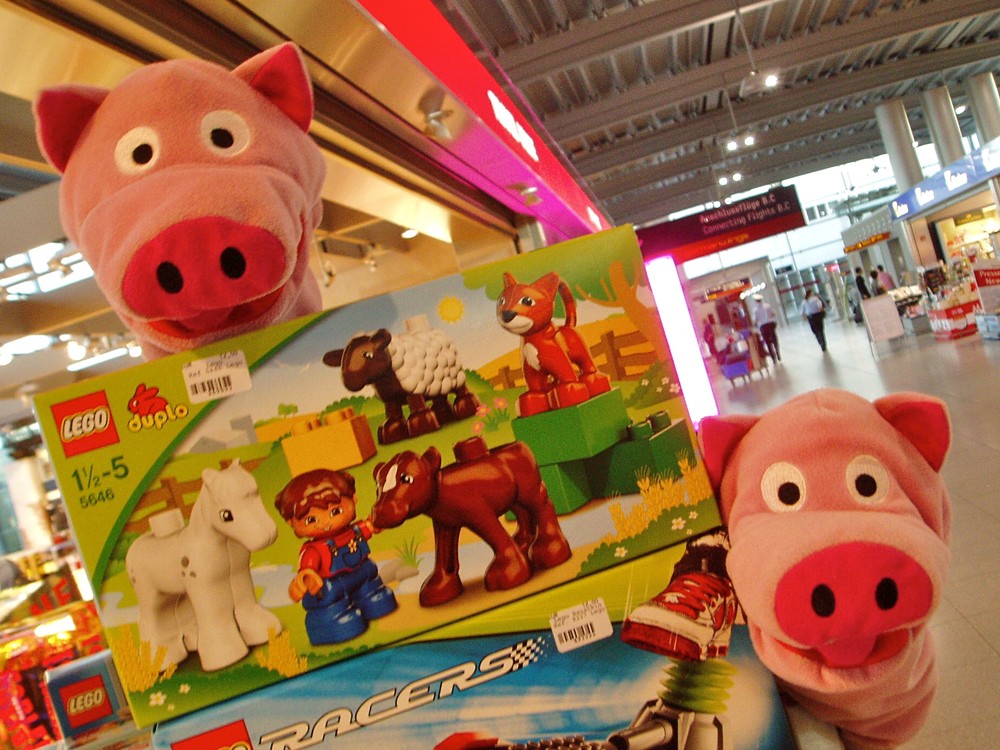 Am Flughafen: Die Schweine möchten noch etwas für zum Spielen im Flugzeug.
