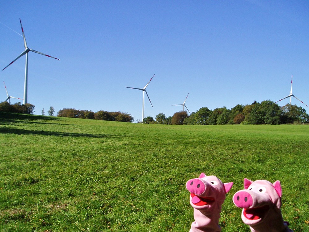 Na? Wollen die Schweine mal mit dem großen Karussell fahren? - Jaaaaa!