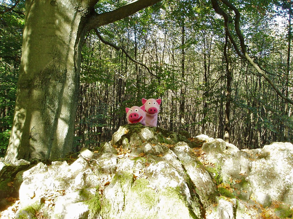 Weiter ging es auf den Welterstein. Hier hausten einst die Heinzelmännchen.