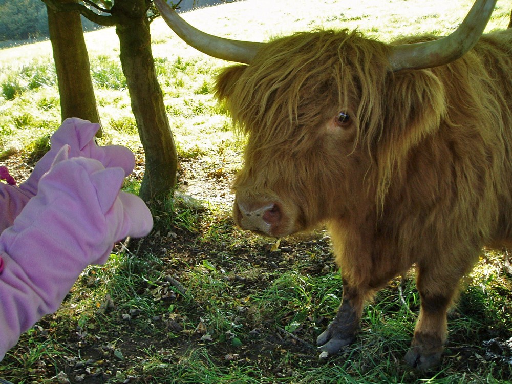 Guten Tag, wir wollten mal fragen ...