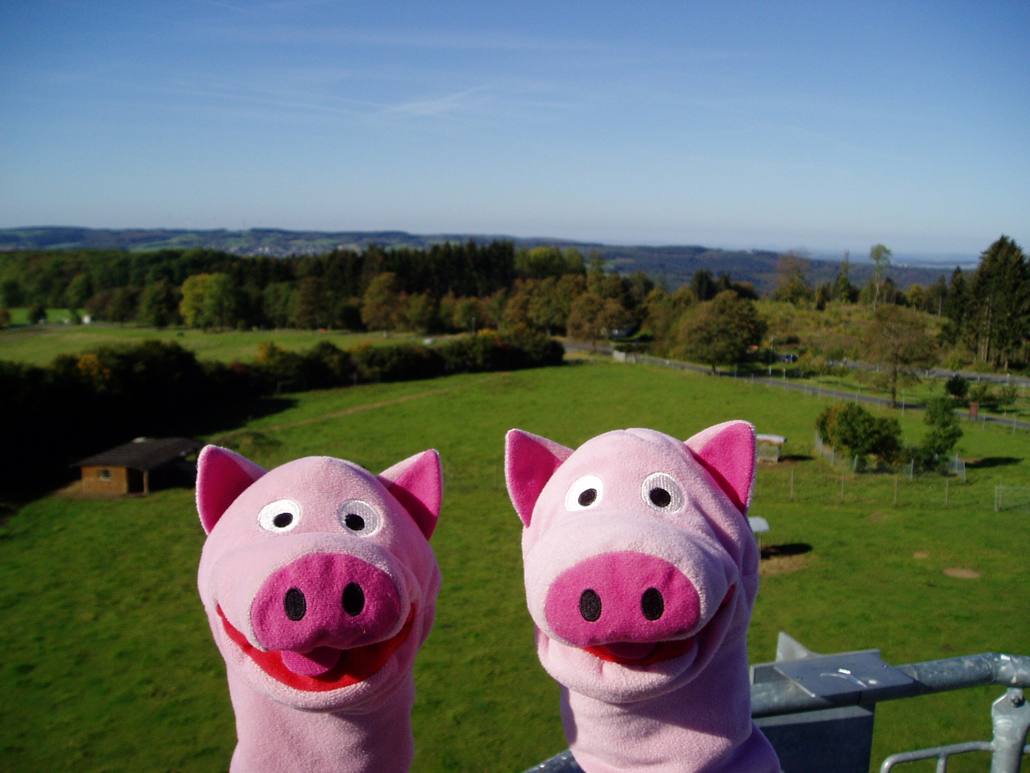 Schöne Aussicht bis zum Siebengebirge.