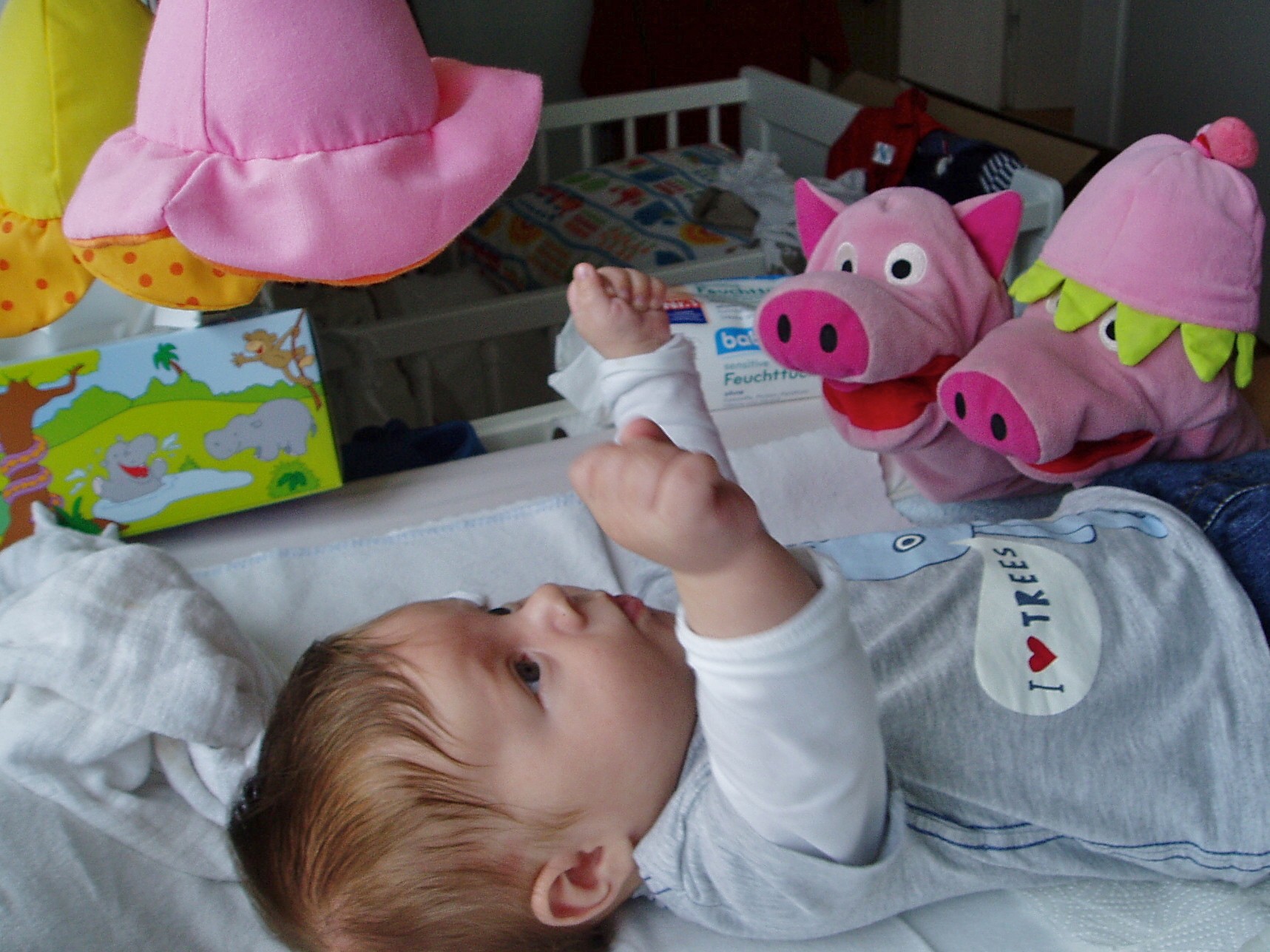 Der Gastgeber ist erwacht. Die Schweine führen den neuen Hut vor.