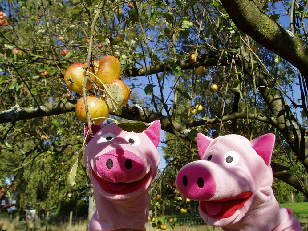 Aha, hier hängen auch die versprochenen Äpfel.