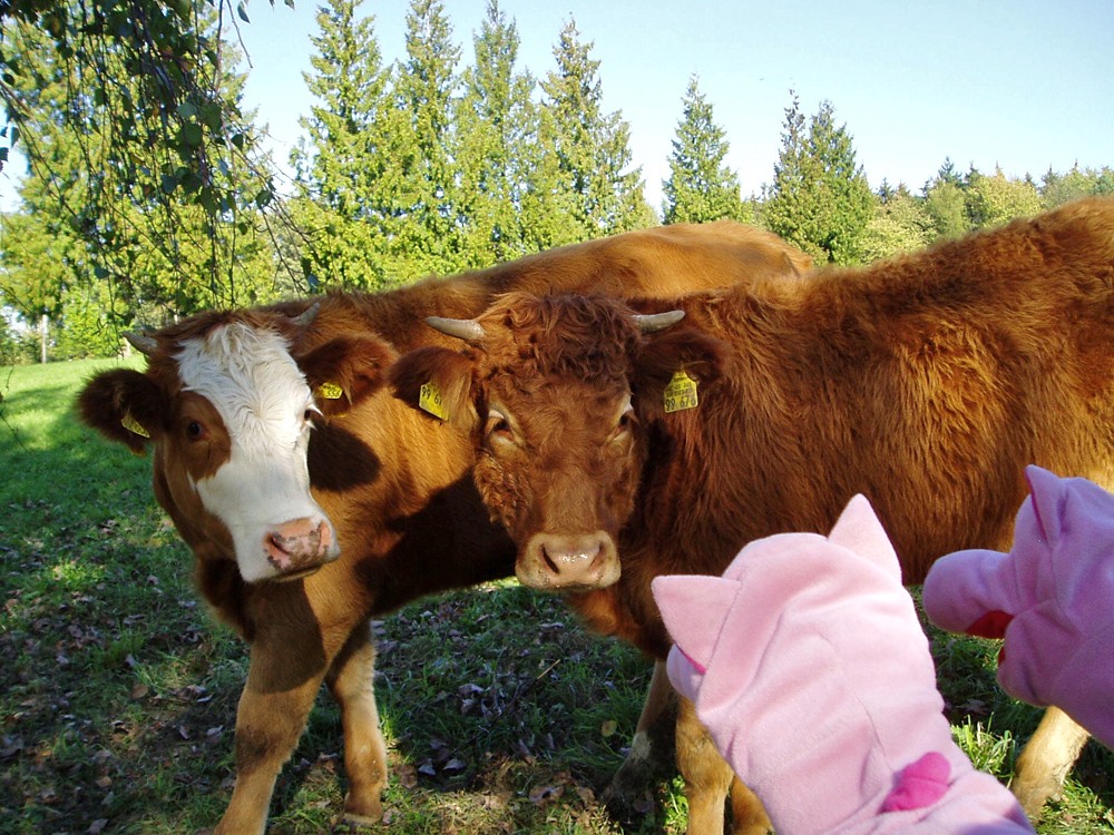 Ob das die Besitzer der Apfelbäume sind?