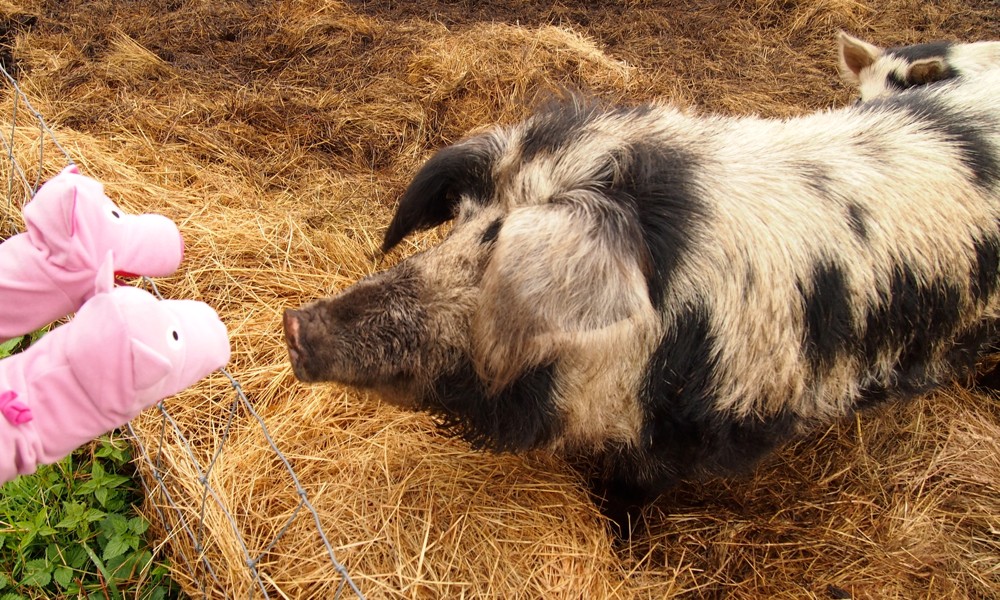 Huch! Der Papa ist ganz schön deftig. Und muss mal zum Frisör.