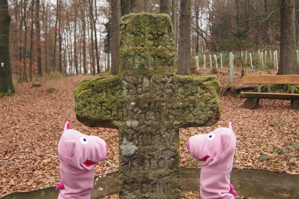 Hier wurde 1554 jemand überfallen. Die Schweine sind entsetzt.