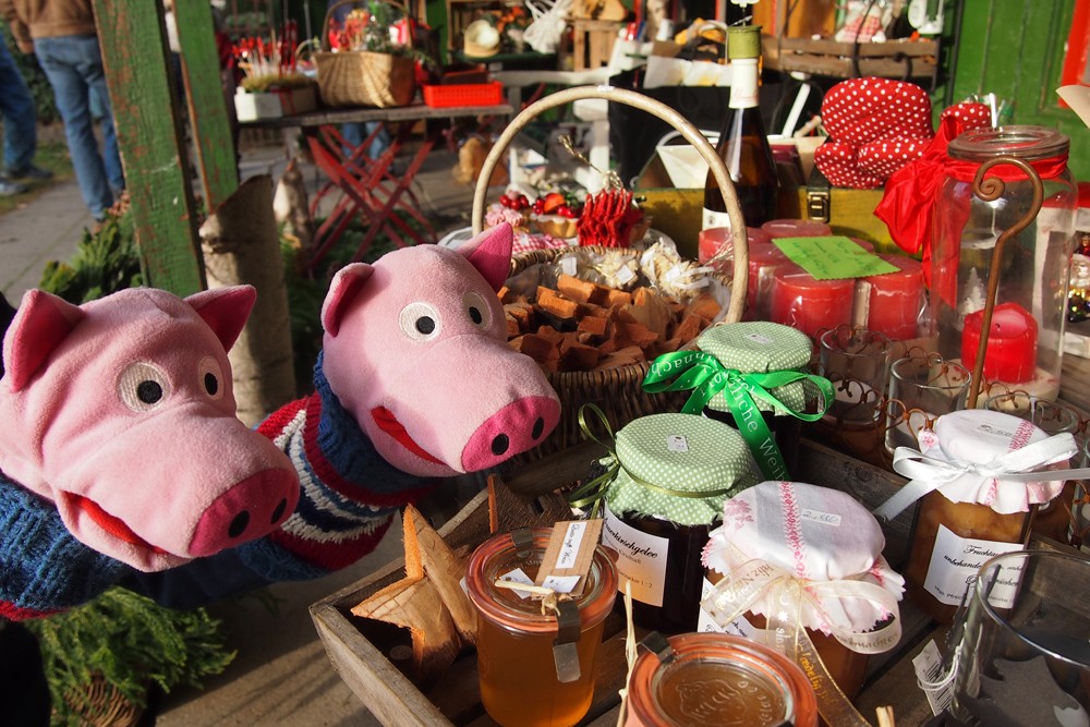 Besonders interessieren sich die Schweine für die Marmeladen.