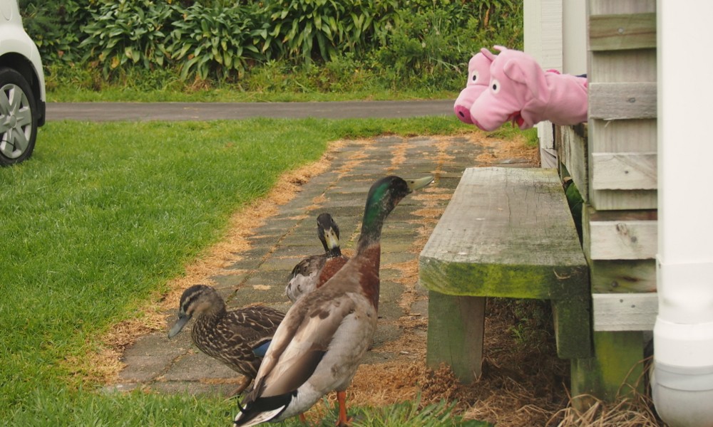 Hier werden der Bevölkerung die Vorzüge der Ernährung mit Kartoffeln erklärt.