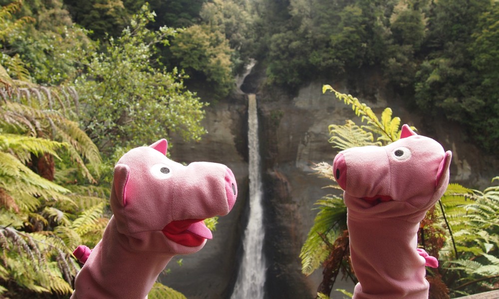 Da sind die Schweine aber froh, dass eines keine Lust dazu hatte.