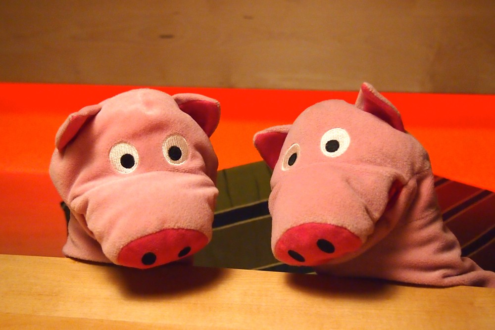 Sollen sie es wirklich wagen?