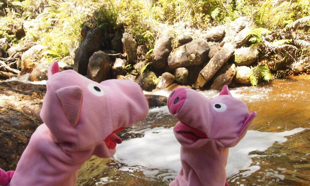 Das andere Schwein schlägt vor, mit dem Schlauchboot zu fahren.