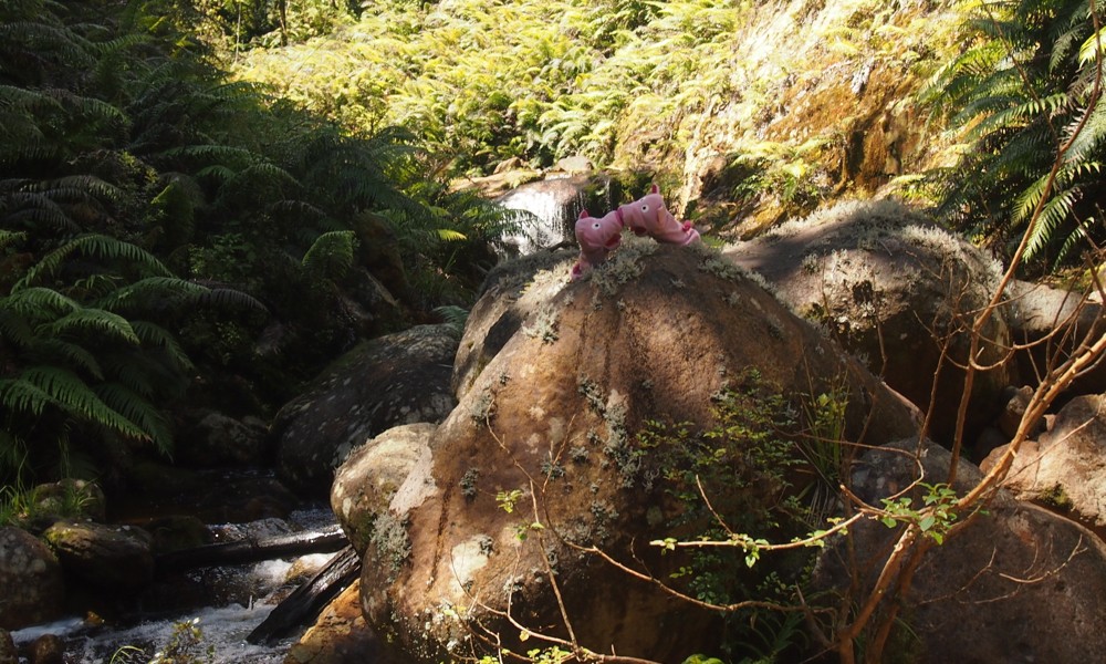Pause am Bach (mit Küsschen!).