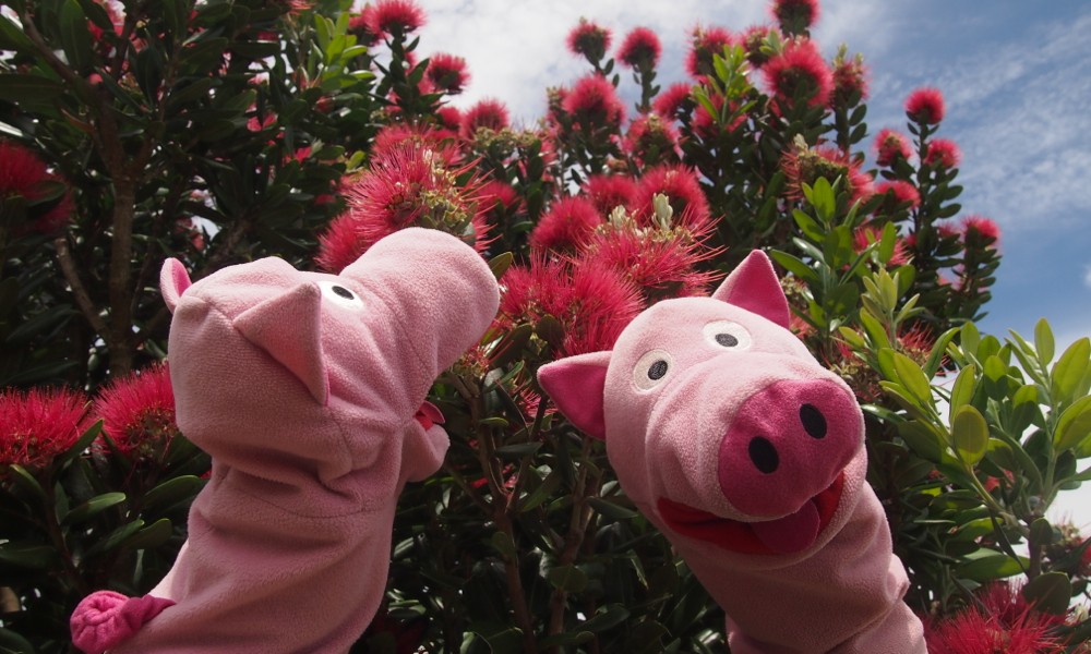 Ganz chic, die roten Bäume! Gleich geht's auf die Südinsel!