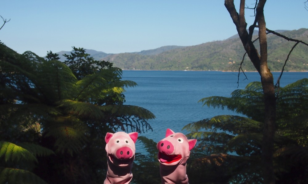 Die Schweine sind sich nicht ganz sicher, ob es sich hier nicht doch um eine Fototapete handelt.