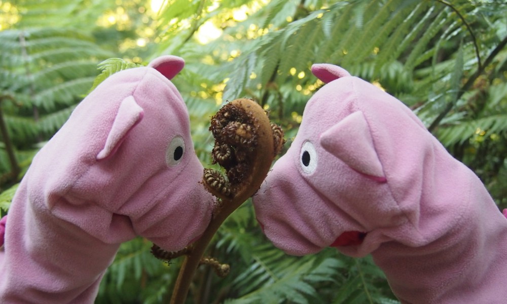 Manchmal lohnt es sich, die Vegetation ganz genau zu betrachten.