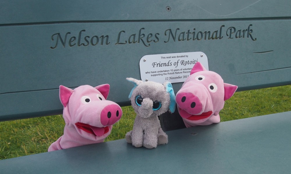 Das ist Naddy. Naddy ist ein Rüsseling.