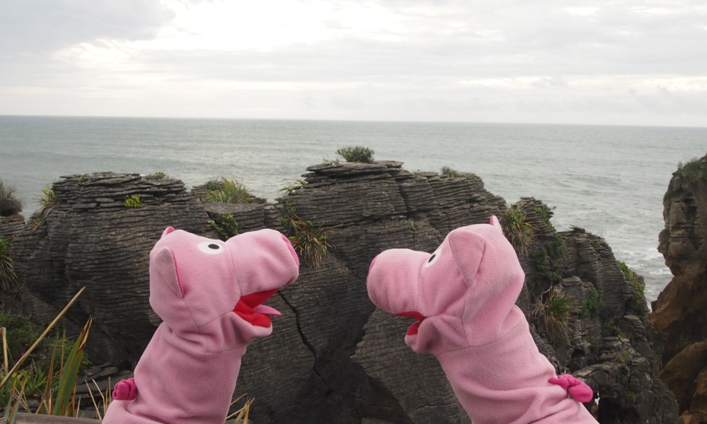 ... sind sich aber einig, dass es sich eindeutig um Kartoffelpuffer handelt. 