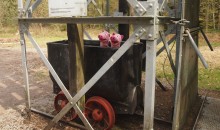 Guter Dinge wollen die Schweine per Franziskaschacht in den Lüderich einfahren.