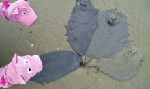 Am Meer gab es allerhand ...