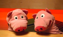 Sollen sie es wirklich wagen?